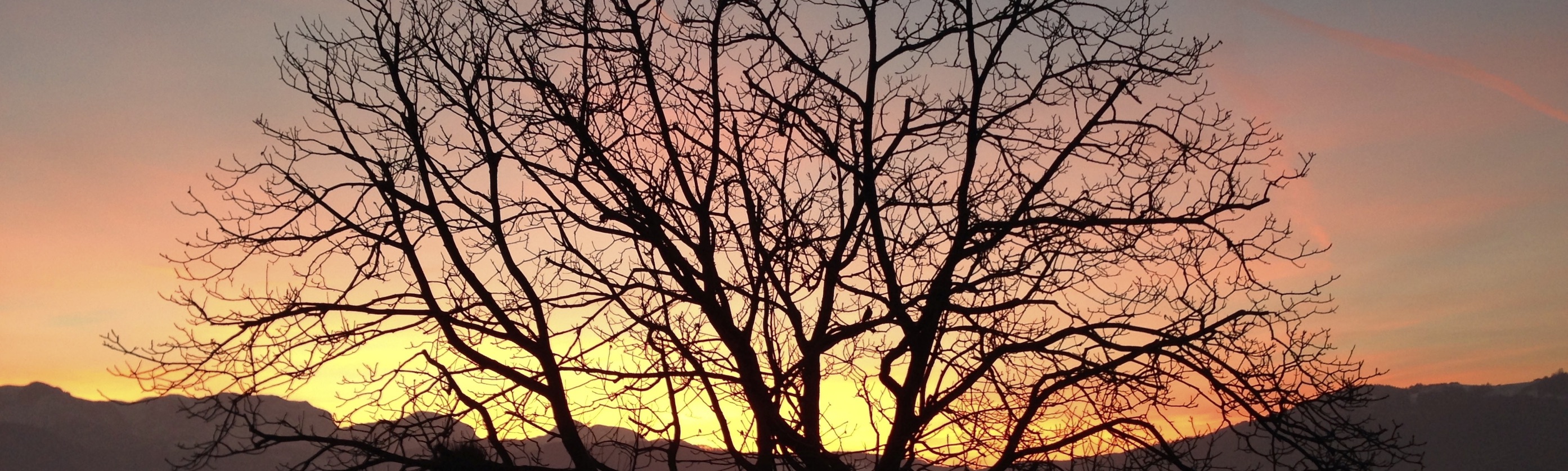 slider_wuerde_magdalena_bewusstsein_nussbaum_sonnenuntergang_verkleinert slider_wuerde_magdalena_bewusstsein_nussbaum_sonnenuntergang_verkleinert