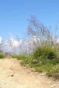 grafik_praesenz_gross