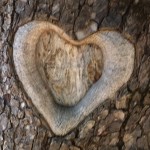 herzerl_baum_quadr