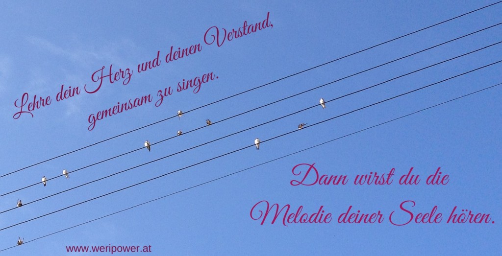 20150204_Herz_Verstand_Seele_singen_Melodie