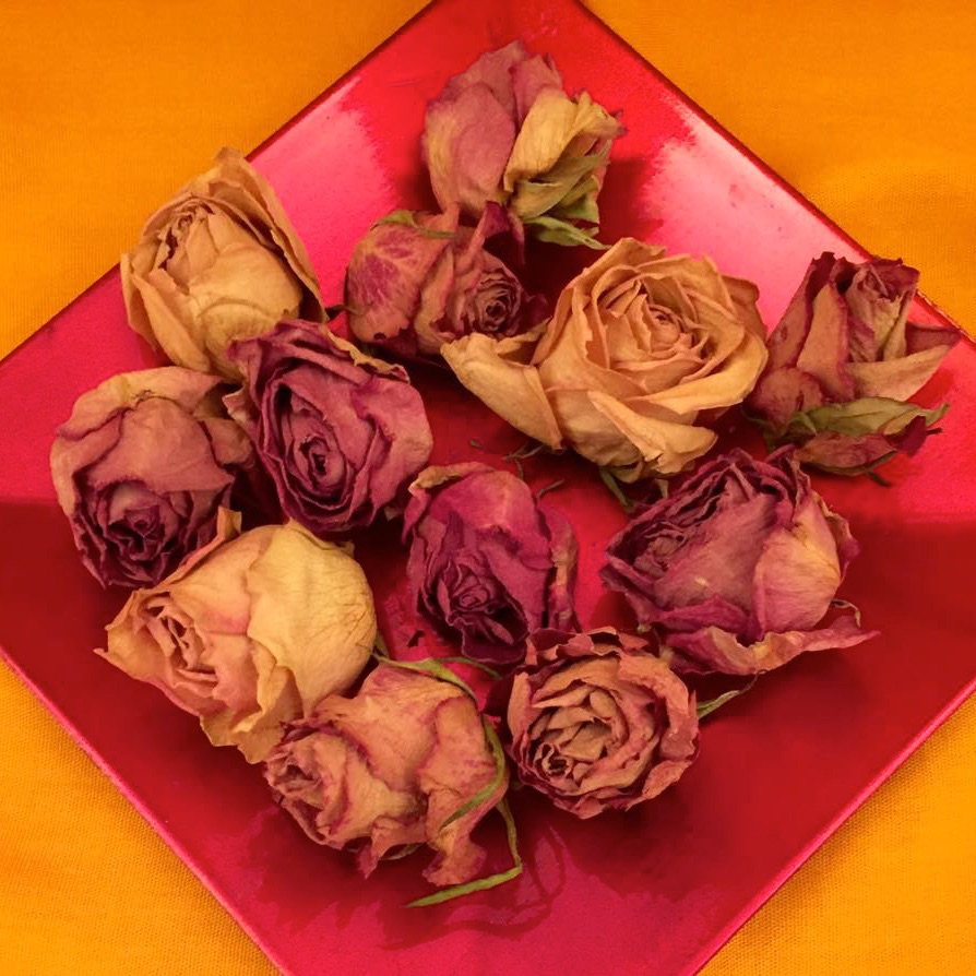 Workshop_Selbstliebe_Rosen_quadr_Ausschnitt Workshop_Selbstliebe_Rosen_quadr_Ausschnitt