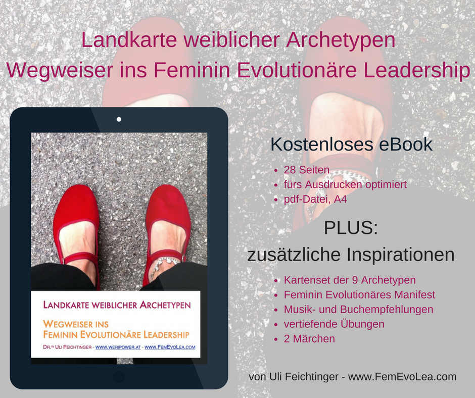 femevolea_ebook_werbe_grafik