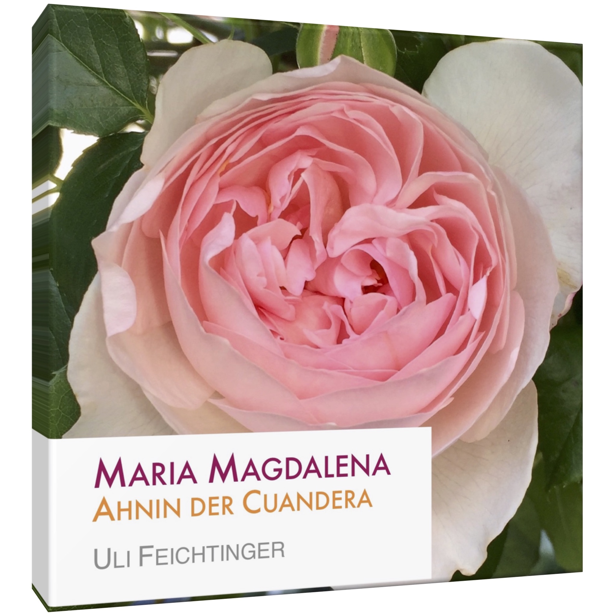 eBook: Maria Magdalena - Ahnin der Cuandera