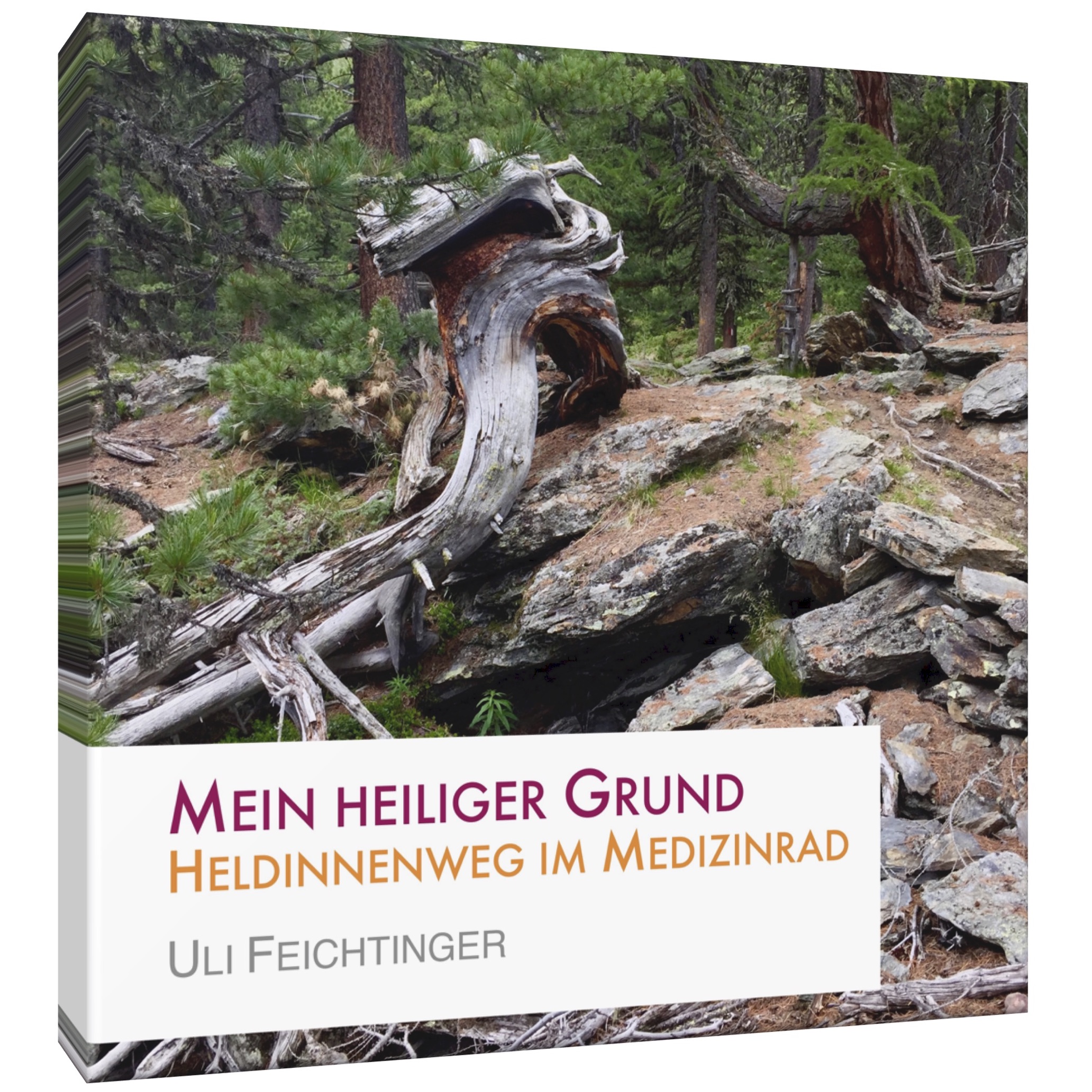 eBook: Mein heiliger Grund - Heldinnenweg im Medizinrad